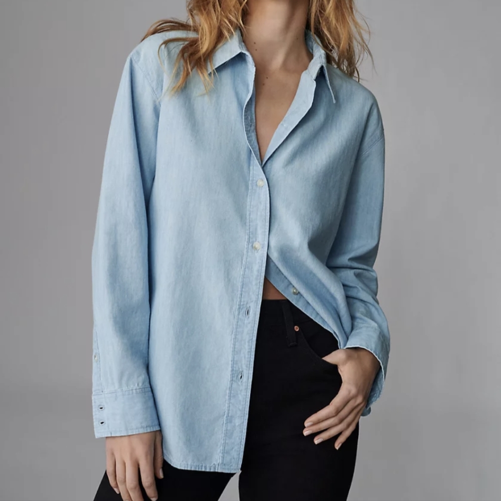 Aritzia Denim Forum Jane Longsleeve shirt